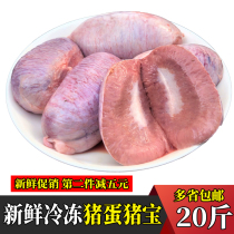 Frozen fresh pig treasure 20 pounds of pig eggs pig testicles barbecue restaurant ingredients fresh pork trotters with tendons