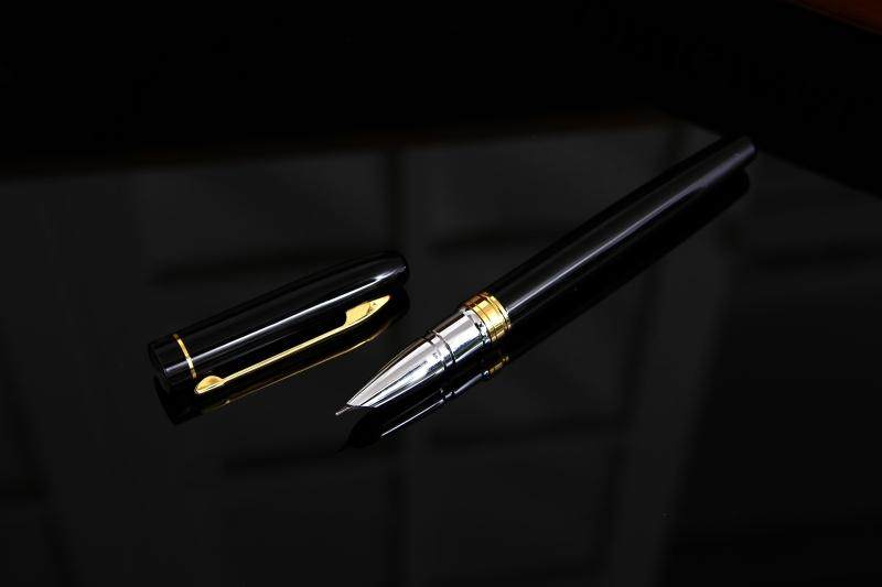 传人钢笔学生用钢笔正姿书写练字铱金笔 墨水墨囊两用钢笔包邮