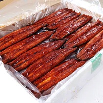 East England Busburn Eel 110p Day Style Cuisine Eel Rice Juice Burning Meat Thick Roasted Eel 10kg Guangdong Province