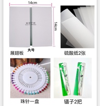 Butterfly Wing Plate Insect Specification Toolnel MaterialsDiy Handicraft Sulfate Paper Twezer Desiccant