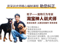 Giant little cute dog training course pet training dog dog dog go to the toilet