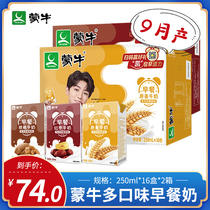 September Mengniu breakfast milk 250ml * 16 boxes * 2 boxes of red dates wheat fragrance nutrition milk drink teak bag whole box batch
