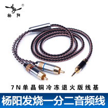 YYAUDIO Yang Yang 2 5 balanced plug to 2RCA double Lotus audio cable HiFi amplifier audio cable