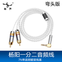 3 5 turn double lotus head divided into two audio cables Single crystal silver mobile phone computer audio cable type-c turn double lotus head divided into two audio cables Single crystal silver mobile phone computer audio cable type-c turn double Lotus head