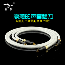 Netherlands imported fever single crystal silver two-on-two double lotus head RCA signal line audio amplifier connection audio cable