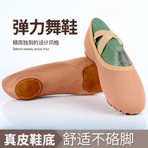 Baiyou elastic cloth dance shoes Womens soft-soled art examination body shoes non-slip adult cat claw shoes show instep ballet shoes