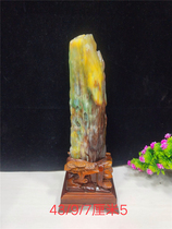 Kistle green Burmese tree Jade fossils paleontological fossils ornamental stone rough ornaments gift collection