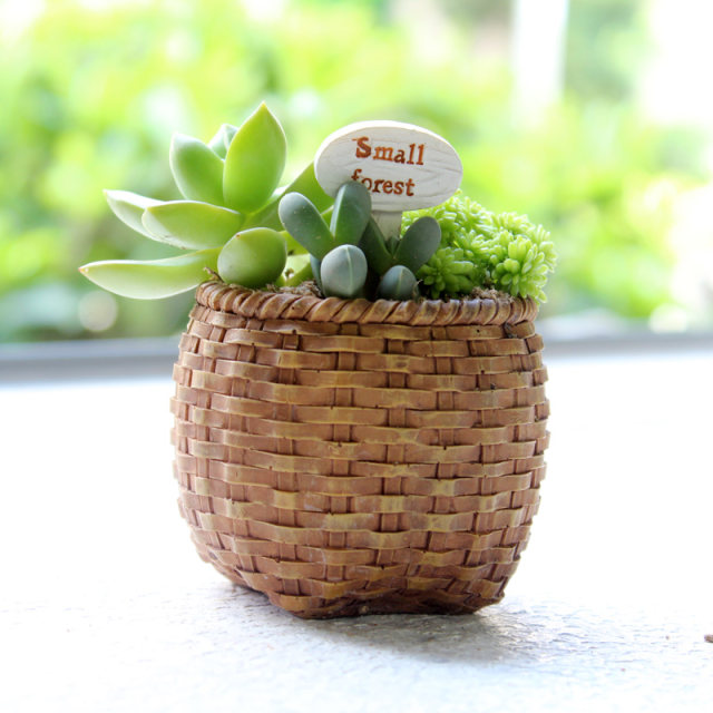 Zakka ສ້າງສັນງາມ mini flower pot succulent plant flower pot resin ສ່ວນບຸກຄົນ succulent ຫມໍ້ດອກຂະຫນາດນ້ອຍສົ່ງຟຣີ