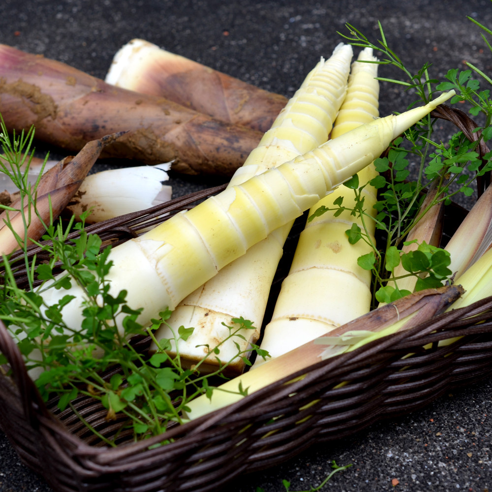 3月12日全网独家内部优惠券汇总-优恋购