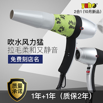 Yunhe pet hair dryer water blower cat dog beauty wool puller 2 in 1 hair dryer silent beautician Special