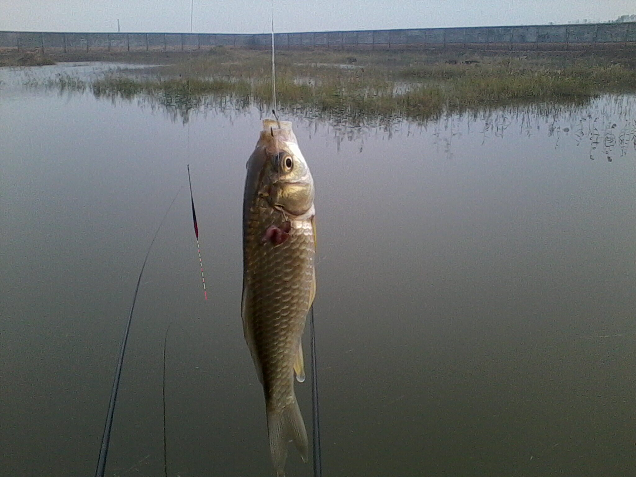 传统钓的这些技法你都知道吗