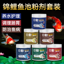 Solar koi algaecide fish pond nitrifying bacteria rotten body tail treatment anthelmintic fatty liver conditioner