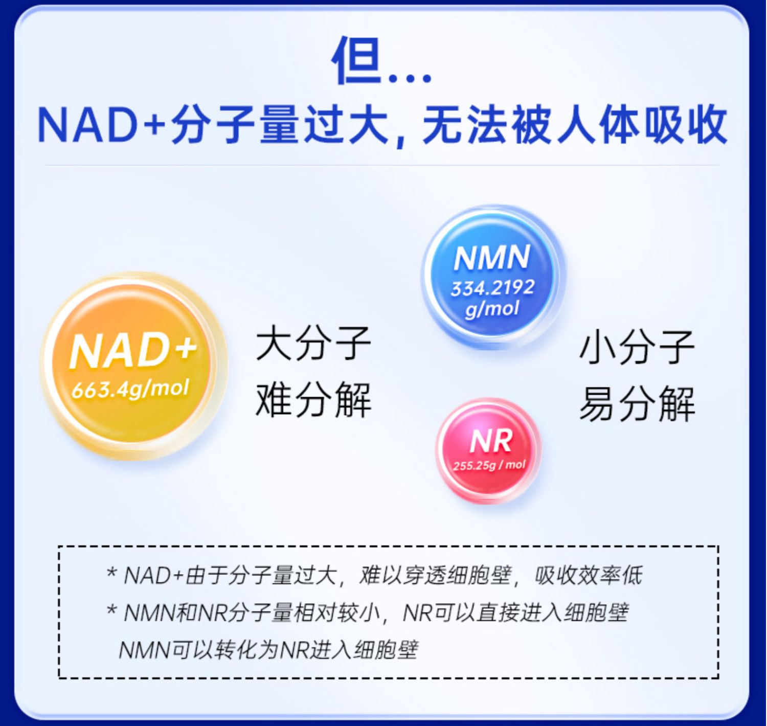 信心药业NAD补充剂nmnβ-烟酰胺单核苷酸NR