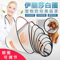 Large and medium-sized dog anti-bite ring Teddy gold cat collar transparent grasp and anti-licking head neck protection ring
