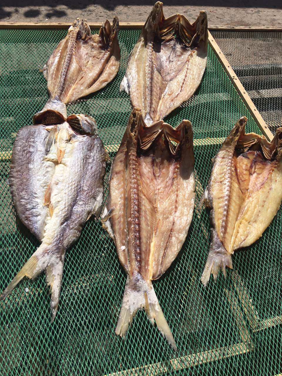 马友鱼干 湛江特产新鲜海产品干货 广东咸鱼海鱼干自制 午鱼干_8折