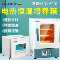 Lichen electric constant temperature incubator Portable laboratory constant humidity Seed germination germination microbial biochemical cell box
