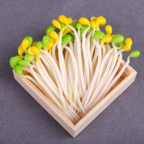 Emulated Bean Sprout Dish Model Tender Shoots Fruit Vegetable Accessories Swing Trays Decoration Props Past Home Vegetable Products Childrens Toys