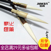 Garken painting material Xi Zhis wonderful Pen Boutique sheep brush calligraphy Chinese painting four treasures large medium and small letters