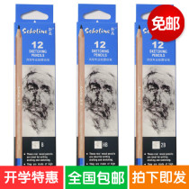 Sko sketch pencil 2B 3B 4B 5B 6B 8B Professional drawing drawing drawing log advanced anti-breaking