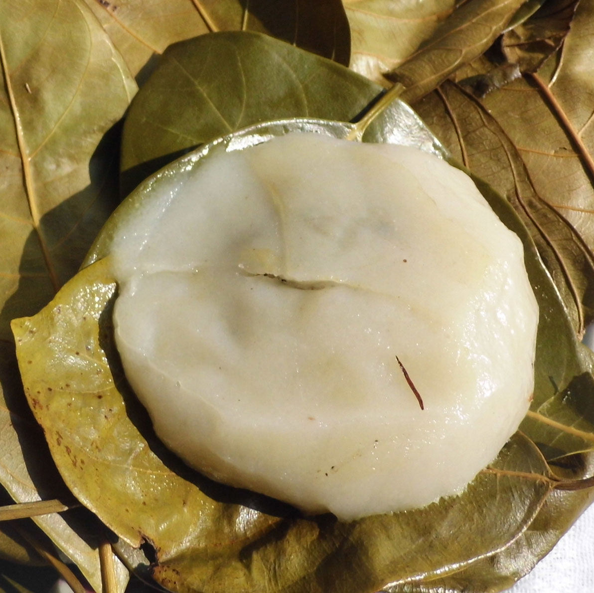 湛江地方特产年糕 徐闻树叶饼 年货咪叶塔 徐闻蜜叶饼花生馅甜味