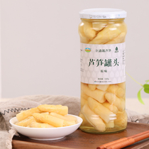 Shandong Caoxian specialty Juxinyuan fresh white asparagus head canned vegetables special gift box 530g*4