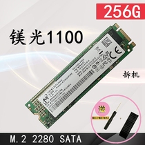 Magnesium 1100 1100 1300 1300 512G 512G 256G 1T NVME m 2 sata Protocol Solid State Hard Disk SSD