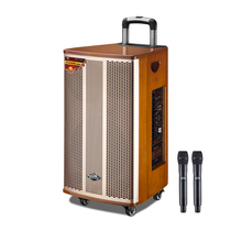 Shanling Square Dance Audio Outdoor Rod Subbass with Wireless Microphone Bluetooth Guitar Play Singing Charging Speaker