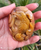 Ning Qiang Red Coral Jade Fossil Lichens Calf Love and Deep Mother Love Yellow Red Hand Play with a small Carved Handlebar Piece handmade fine print