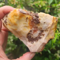 Ning Qiang Coral Jade Fossil Raw Stone Coarse Pattern Snowflake Stonetime Fish Grain Fish Tank Decoration Pile Sale Natural to Play L