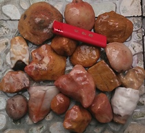 Ning Qiang Coral Jade Fossil Red White Entourage MONOMER can be engraved to sell the kg Yard Sale Boutique Ancient Bio 2 Elects