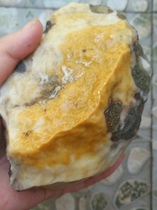 Ning Qiang Coral Jade Fossil Fine Grain Yellow White Boutique Engraving Stock Raw Stone Chite Stone to Jade High L