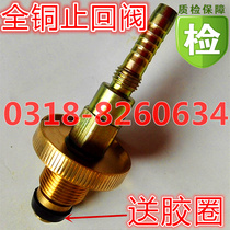 Gas tank interface check valve check valve LPG cylinder air-operated charging connector high-pressure pipe