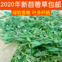 Alfalfa young rabbits Rabbit food Fresh pasture forage Rabbit Chinchilla Dutch pig food Feed food Hay material