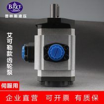 Hydraulic oil pump SNCB series vertical injection molding machine Vulcanizing oil press servo system with internal meshing gear pump