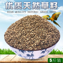 Bird food Barnyard grass seeds Hibiscus bird parrot pearl bird Wen bird protein is five pounds higher in China