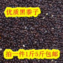 Quality Parrot Grain Black Millet Bird Food Bird Food Feed Tiger Leather Grain Peony Xuan Phoenix for a 500 gr