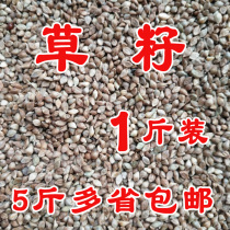 Bird food Barnyard grass seeds Hibiscus bird Parrot pearl bird Wen bird protein high one piece 500 grams five kg