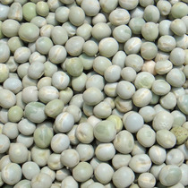 New dove grain pigeon feed letter dove feed pigeon dove crusty grain with shell green peas a piece of 500 gr 5 kilos