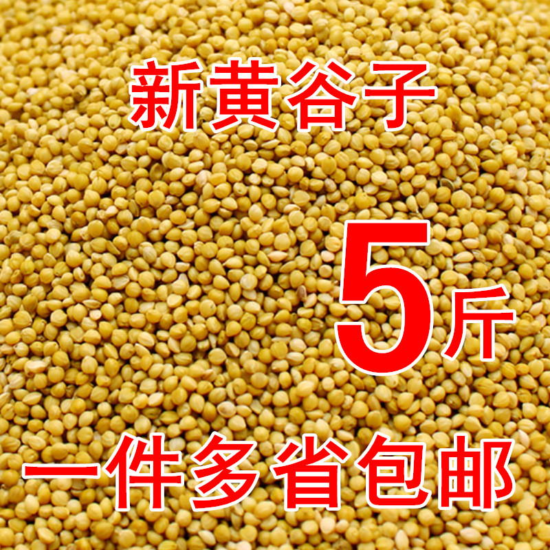 Parrot Grain with shell Huanggu Zibird Grain Bird Food Rudding Chicken Feed Tiger Skin Peony Xuanfeng Cross-class with shell millet millet