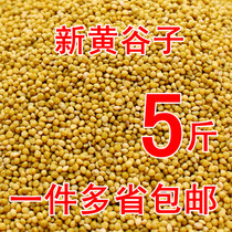 Parrot food Shelled yellow millet Bird food Bird food feed Tiger skin peony Xuanfeng Hengban Shelled millet millet