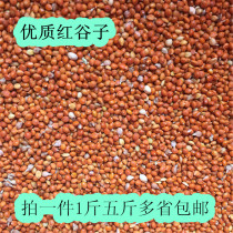 High-quality parrot food red millet peony Xuan Feng tiger skin food jade bird bird food bird food feed 500 grams per piece