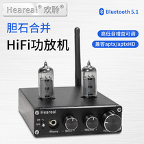 hifi Bluetooth player fever Huanheareal's home passive voice-free speaker electron tube work