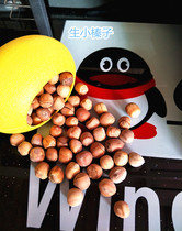 Demon King Golden Flower Squirrel molars Snacks Northeast native wild hazelnuts raw hazelnuts dont open hazelnuts 100g