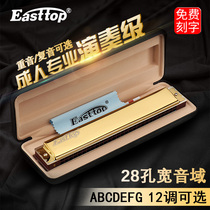 Imported Reed 28-hole Polyphonic C- accent A G F D 12-tone harmonica advanced adult professional playing instrument