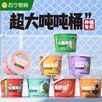 Children planting small potted plants small flower farmers green planting strawberry sunflower Kindergarten Science Watch Plants 2734