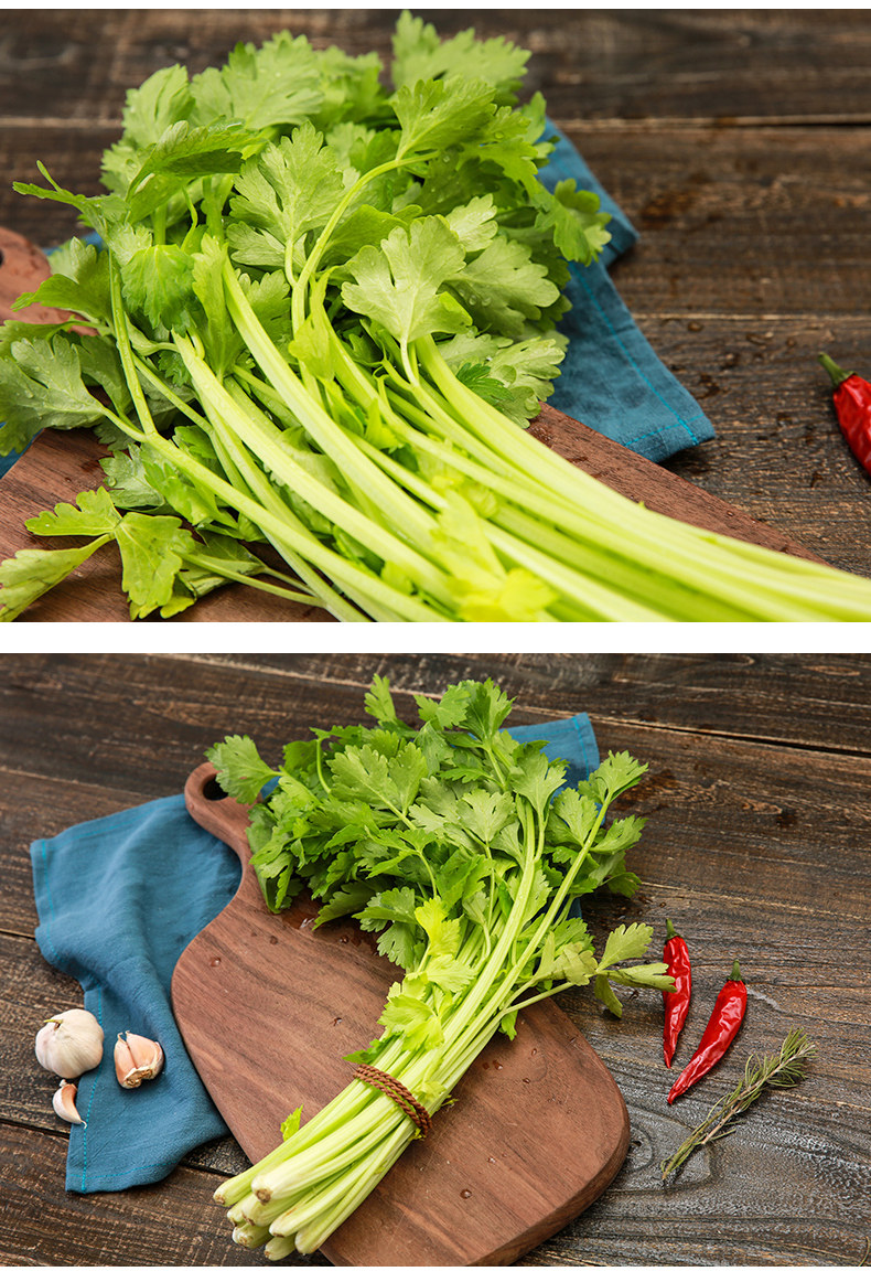有机胡芹菜 新鲜蔬菜空心清脆鲜嫩芹菜_胡芹_茎菜类_本地蔬菜_晋城