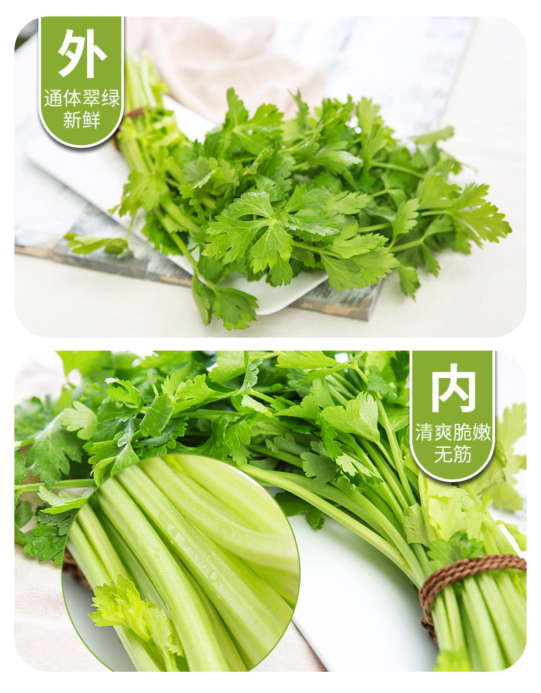有机胡芹菜新鲜蔬菜空心清脆鲜嫩芹菜