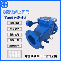 HH44X-16 micro-resistance slow and closed check valve ductile iron anti-back and muffled water hammer flange butterfly type backstop valve