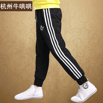 Fat childrens wear and fat increase boys pants childrens sweatpants spring and summer thin new middle and large childrens casual pants trousers