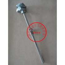 WZP-120 assembled thermal resistance PT100 platinum thermal resistance WZP2-120 temperature sensor